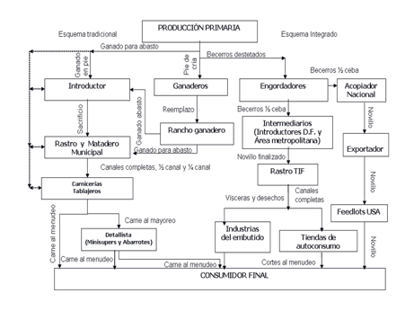 Estrucutura comercialización.jpg